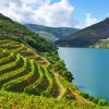 Douro Valley Landscape Diamond Painting