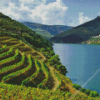 Douro Valley Landscape Diamond Painting