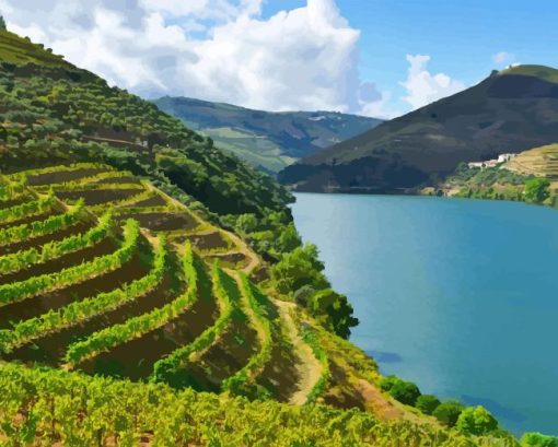 Douro Valley Landscape Diamond Painting