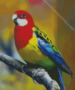 Eastern Rosellas Diamond Painting