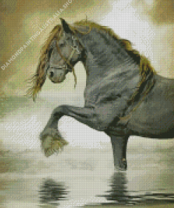 Friesian Art Diamond Painting