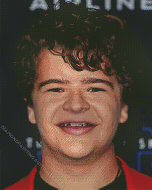 Gaten Matarazzo Diamond Painting