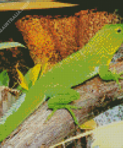 Giant Anole Reptile Diamond Painting