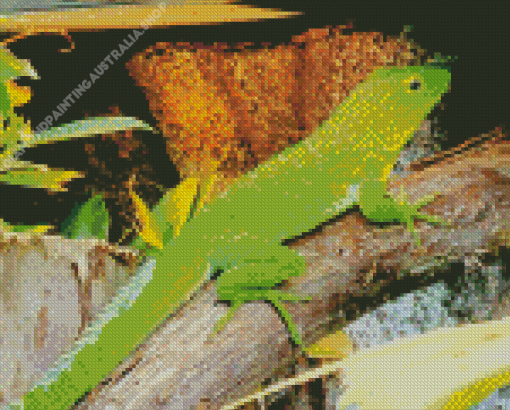 Giant Anole Reptile Diamond Painting