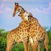 Giraffe Hug Diamond Painting