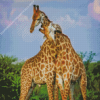 Giraffe Hug Diamond Painting