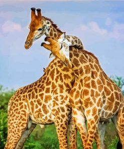 Giraffe Hug Diamond Painting