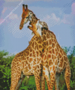 Giraffe Hug Diamond Painting