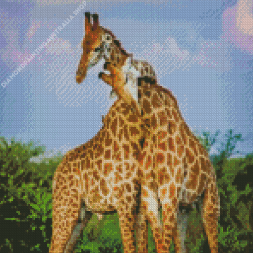 Giraffe Hug Diamond Painting