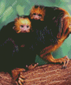 Golden Headed Lion Tamarin Twins Diamond Painting