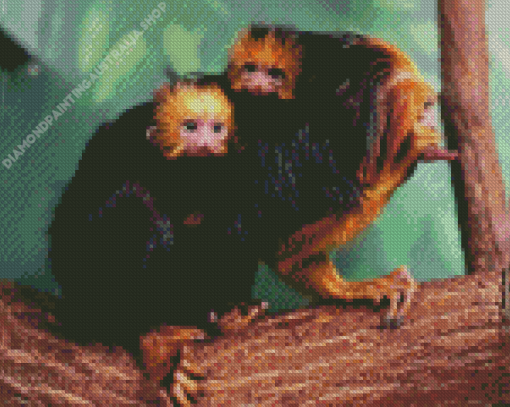 Golden Headed Lion Tamarin Twins Diamond Painting