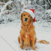 Golden Retriever Dog In Snow Diamond Painting