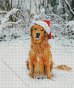 Golden Retriever Dog In Snow Diamond Painting