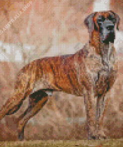 Great Dane Brindle Color Dog Diamond Painting