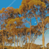 Gum Trees Landscape Diamond Painting