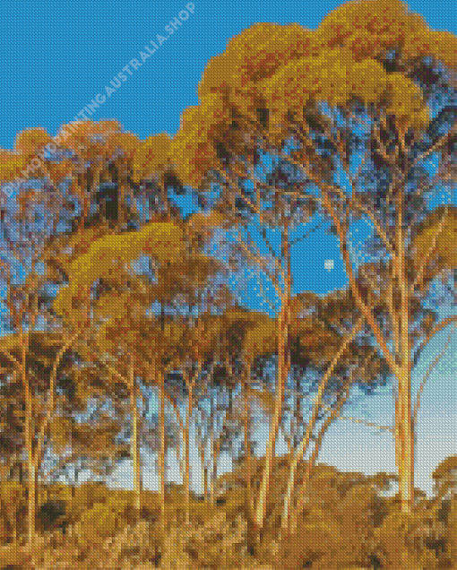 Gum Trees Landscape Diamond Painting