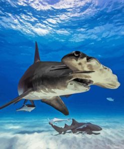 Hammerhead Shark Diamond Painting