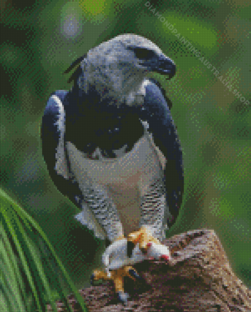 Harpy Eagle Diamond Painting