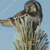 Hawk Owl Diamond Painting