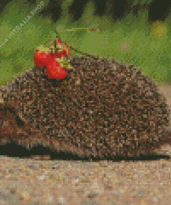 Hedgehog And Strawberries Diamond Painting