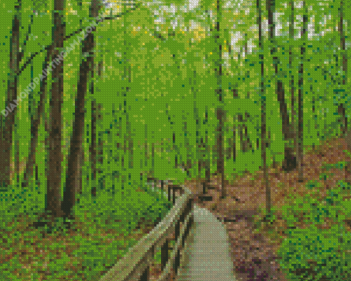 Hiking Trail Diamond Painting