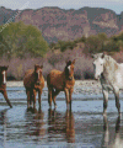 Horses in Arizona Diamond Painting