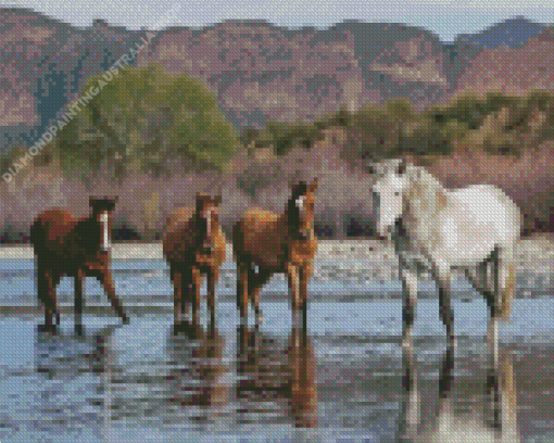 Horses in Arizona Diamond Painting