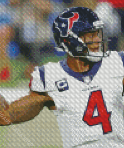 Houston Texans Player Diamond Painting