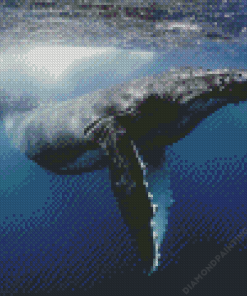 Humpback Whale Diamond Painting