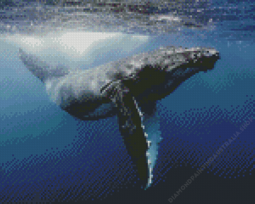 Humpback Whale Diamond Painting