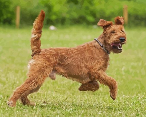 Irish Terrier Diamond Painting