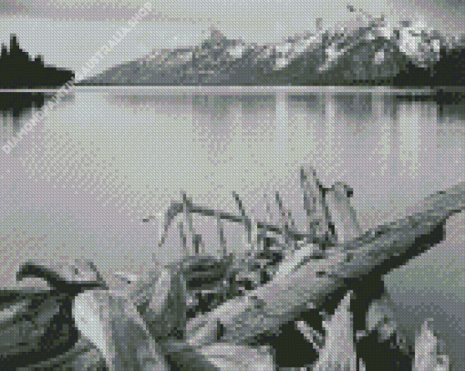 Jackson Lake in Foreground Diamond Painting