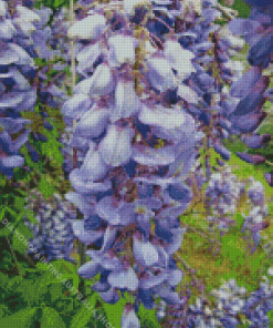 Japanese Wisteria Diamond Painting