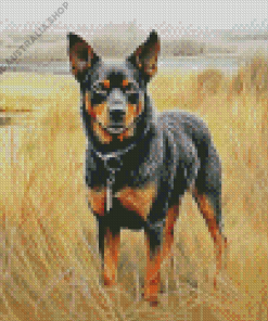 Lancashire Heeler Diamond Painting