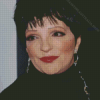 Liza Minnelli Actress Diamond Painting