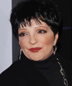 Liza Minnelli Actress Diamond Painting