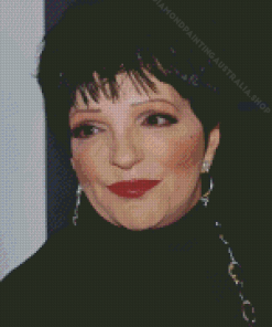 Liza Minnelli Actress Diamond Painting