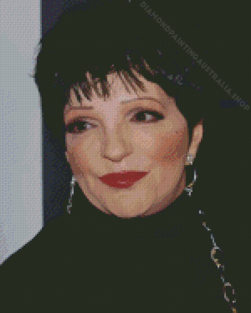 Liza Minnelli Actress Diamond Painting