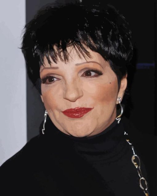 Liza Minnelli Actress Diamond Painting