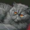 Mad Cat Diamond Painting