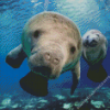 Manatees Art Diamond Painting