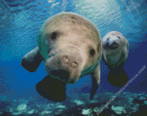 Manatees Art Diamond Painting