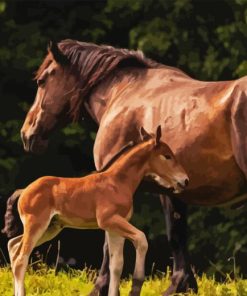 Mare And Foal In Pasture Diamond Painting