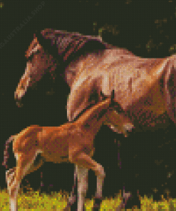 Mare And Foal In Pasture Diamond Painting