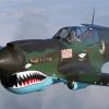 Military Warbird Diamond Painting