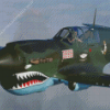 Military Warbird Diamond Painting