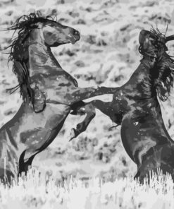 Monochrome Fighting Horse Diamond Painting