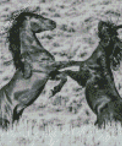 Monochrome Fighting Horse Diamond Painting