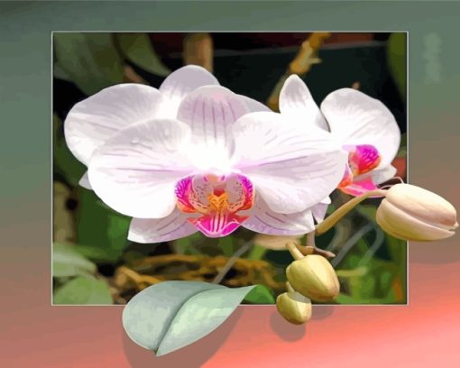 Orchid Flowers Diamond Painting