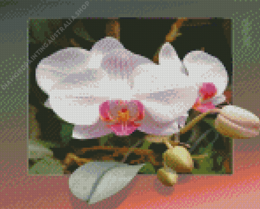 Orchid Flowers Diamond Painting